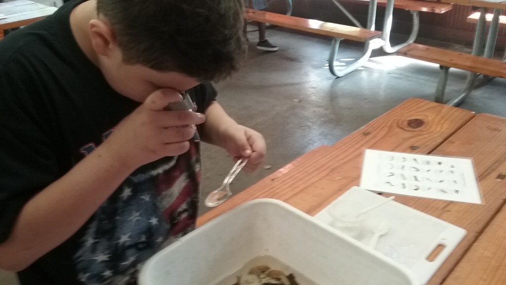 Looking at Aquaticinverts Child Looking at Invertebrates