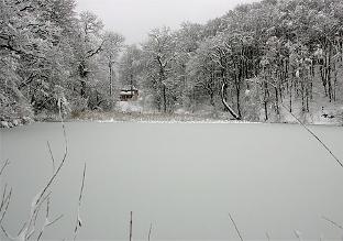 Winter_Pond